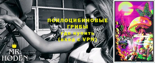 шишки Вяземский