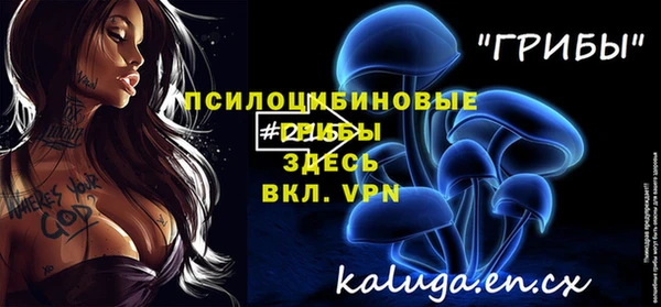 шишки Вяземский