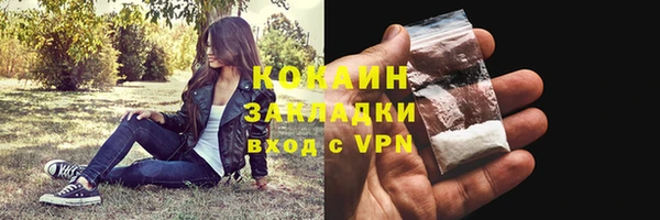 шишки Вяземский