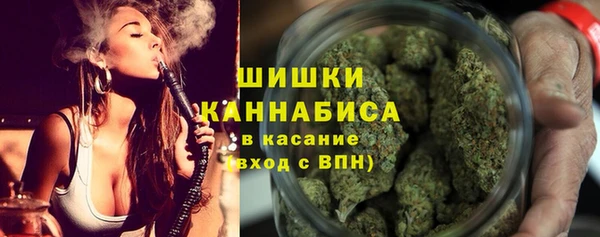 шишки Вяземский