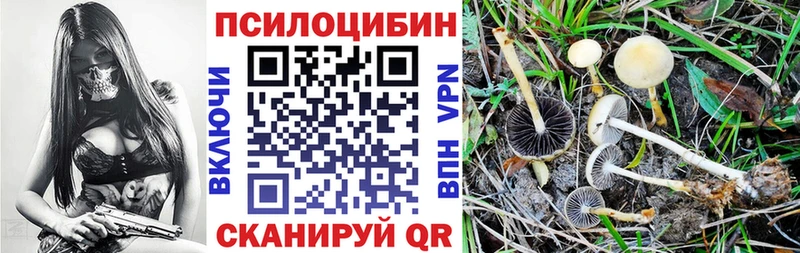 Псилоцибиновые грибы ЛСД  Каргополь 